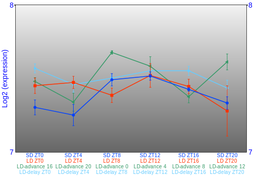 Expression graph