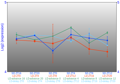 Expression graph