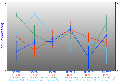 Expression graph
