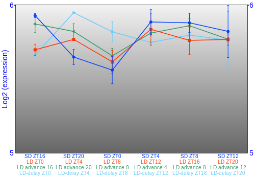 Expression graph