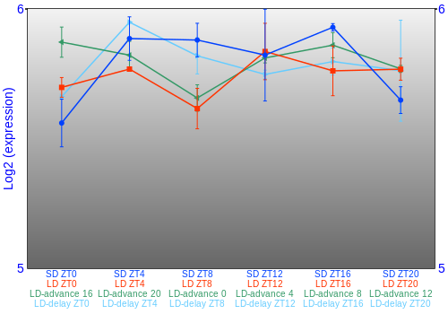 Expression graph