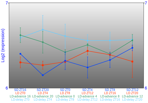 Expression graph