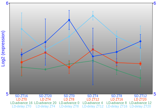 Expression graph