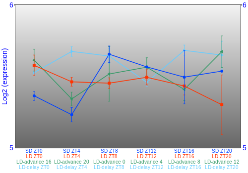 Expression graph