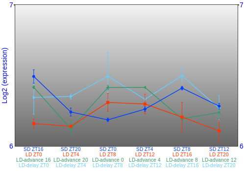 Expression graph