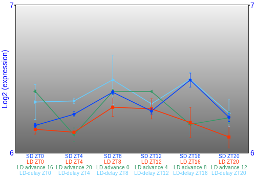 Expression graph