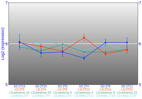 Expression graph