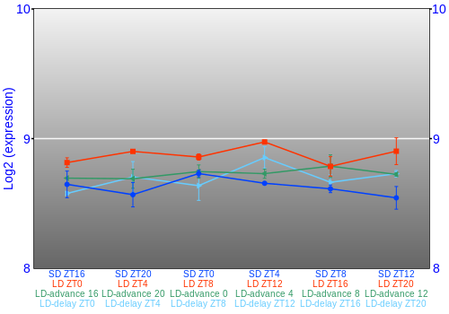 Expression graph