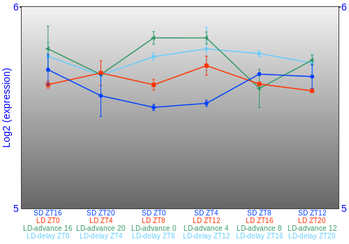 Expression graph
