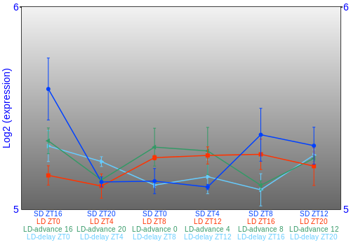 Expression graph