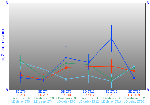 Expression graph