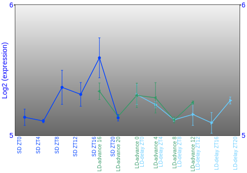Expression graph
