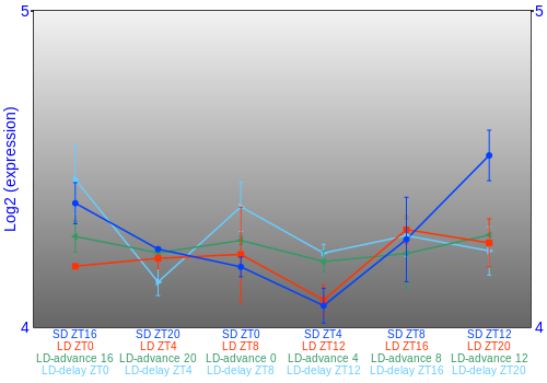 Expression graph