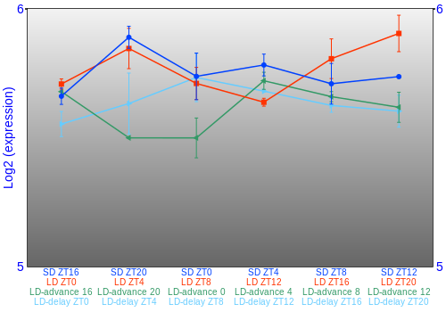 Expression graph