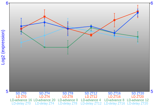 Expression graph