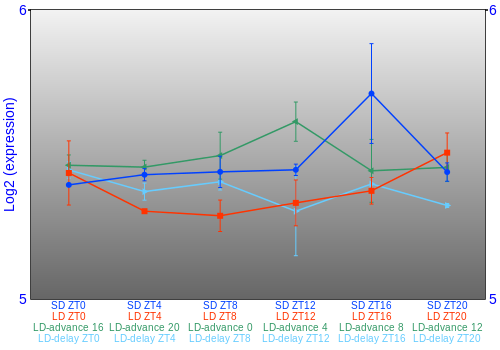 Expression graph