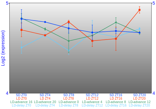 Expression graph
