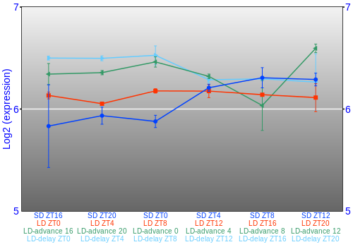 Expression graph