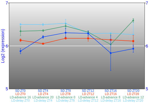 Expression graph