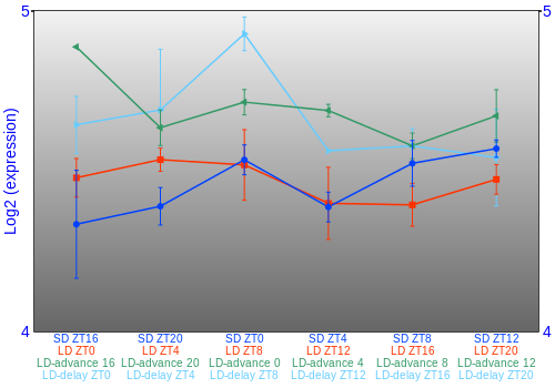 Expression graph
