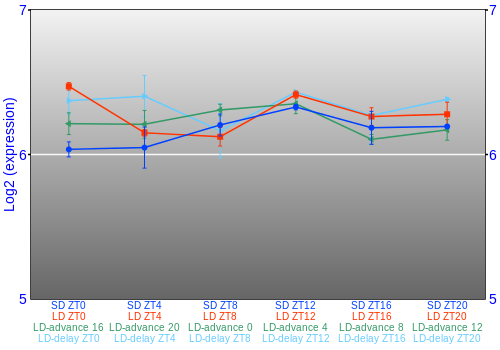 Expression graph