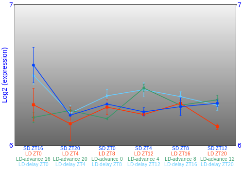 Expression graph