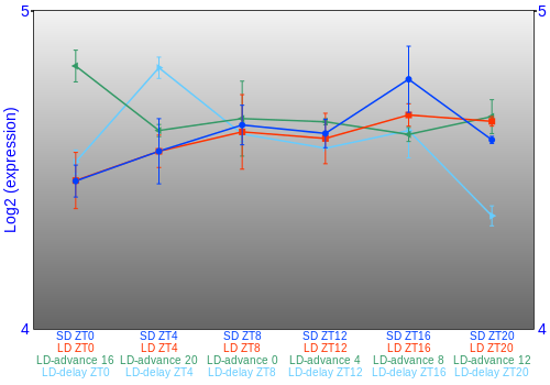 Expression graph