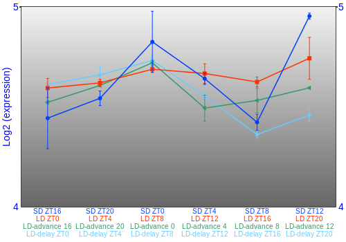 Expression graph