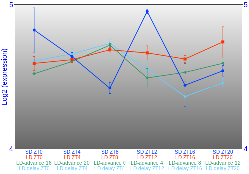 Expression graph