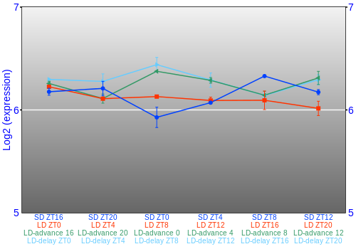 Expression graph