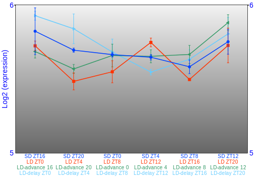 Expression graph