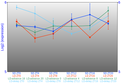 Expression graph