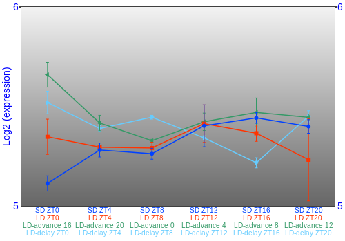 Expression graph