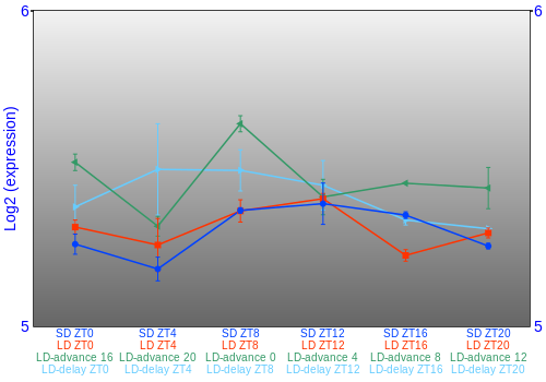 Expression graph
