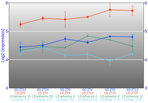 Expression graph