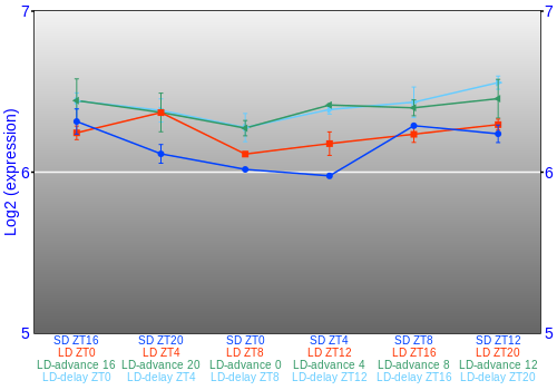 Expression graph