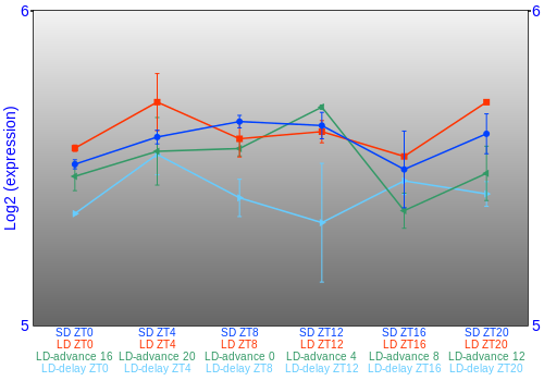 Expression graph