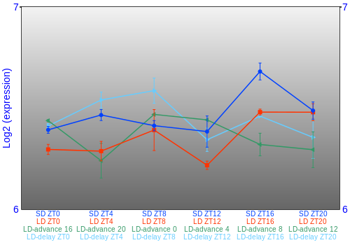 Expression graph