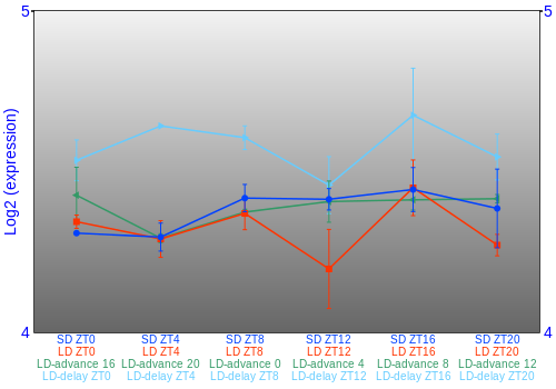 Expression graph
