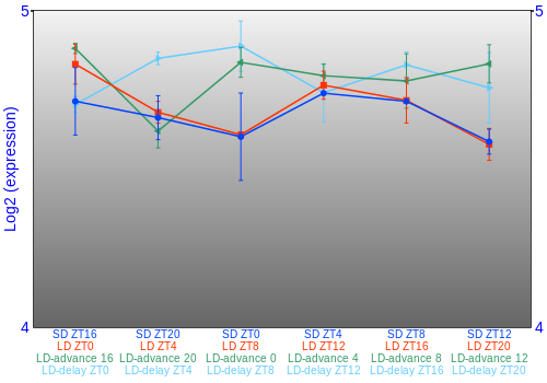 Expression graph
