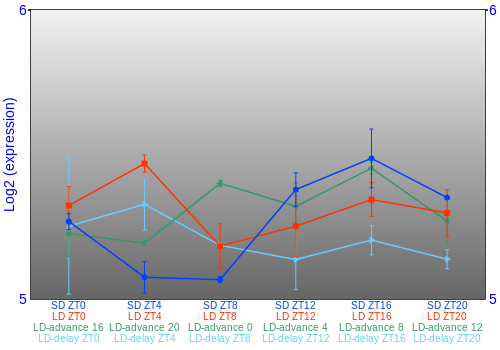 Expression graph