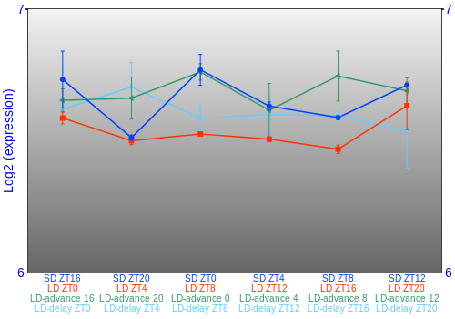 Expression graph