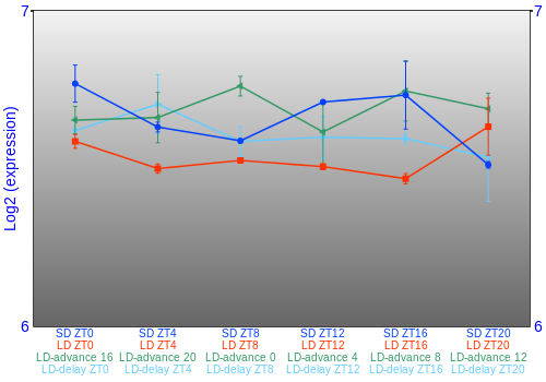 Expression graph
