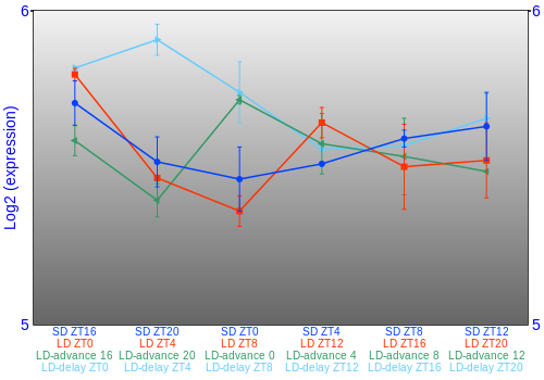 Expression graph