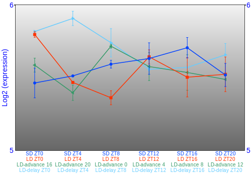 Expression graph