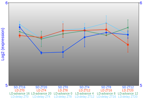 Expression graph