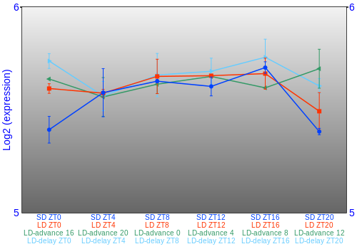 Expression graph
