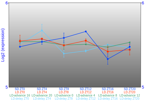 Expression graph