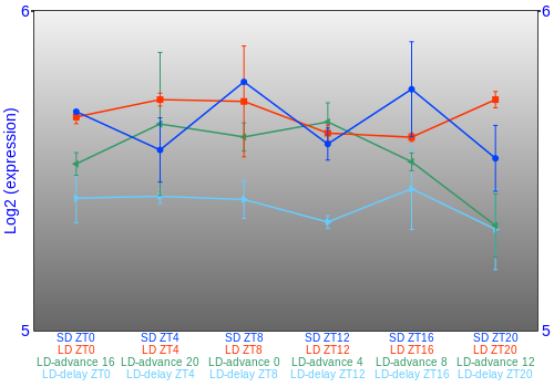 Expression graph