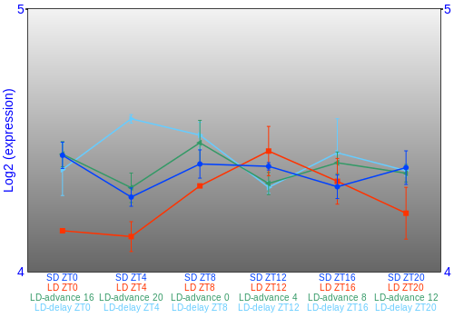 Expression graph
